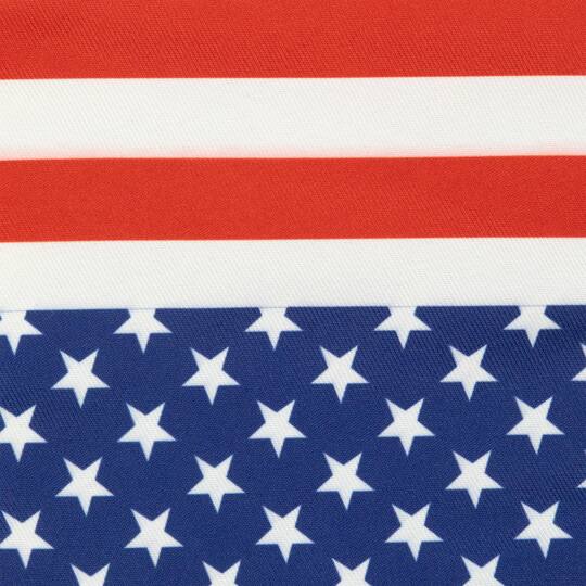 Stars & Stripes Americana Oven Mitts, 2ct.